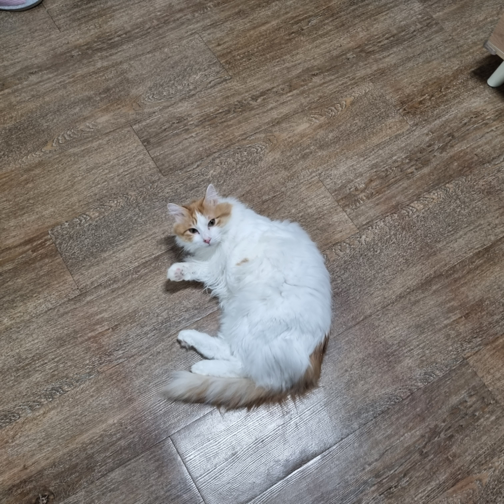 3번 째 사진