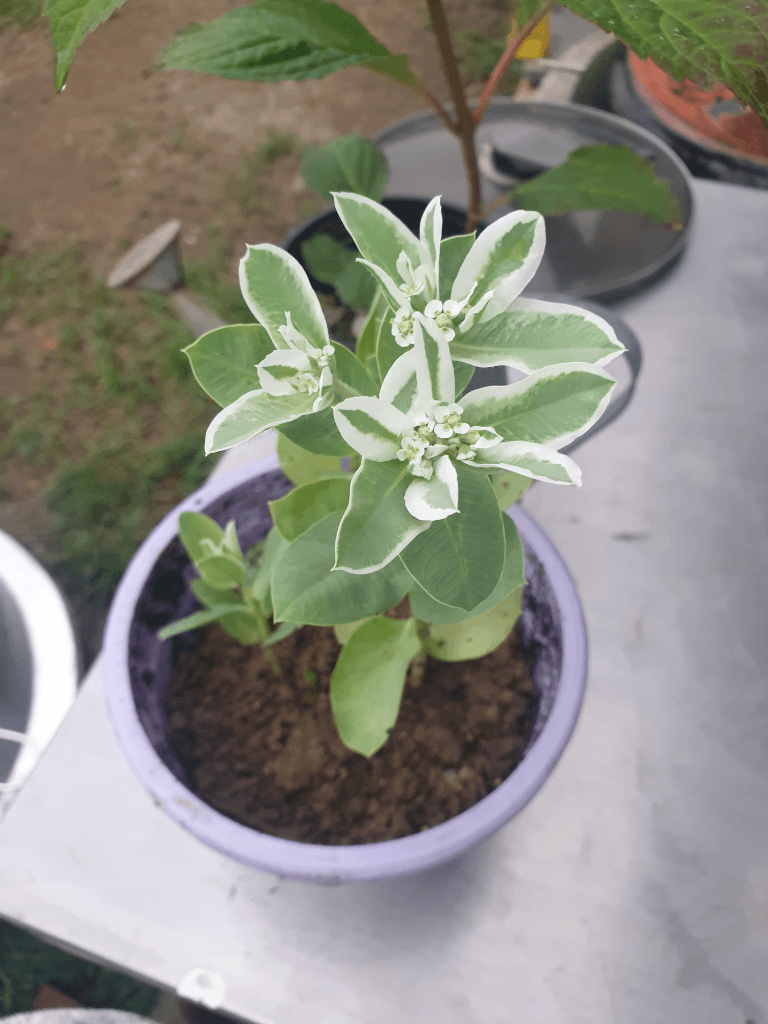 1번 째 사진