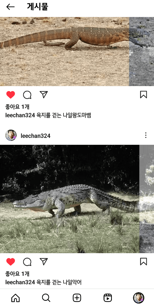 1번 째 사진