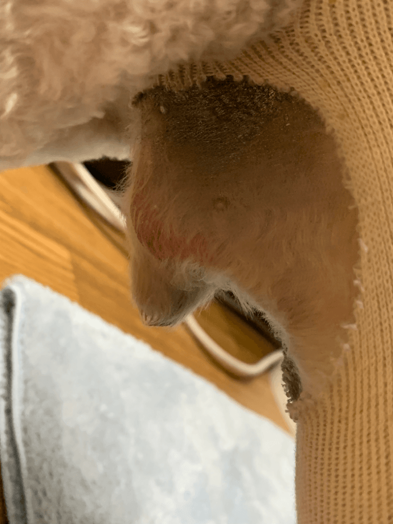 1번 째 사진