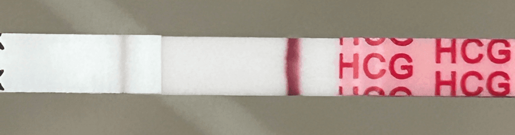3번 째 사진