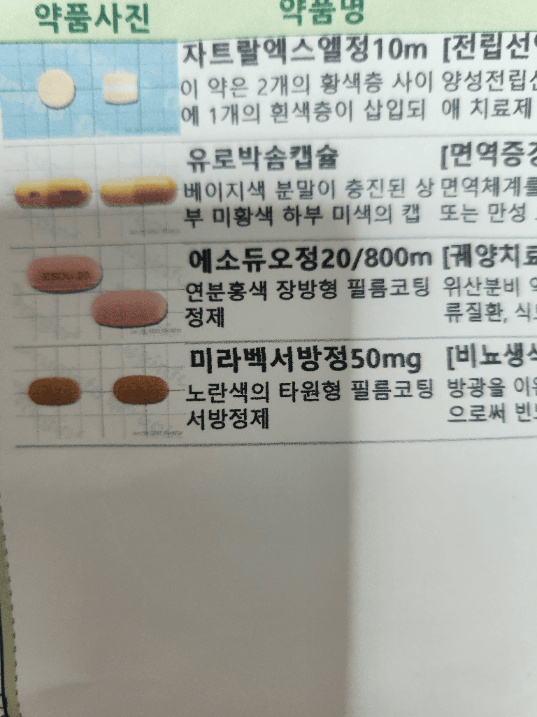 1번 째 사진