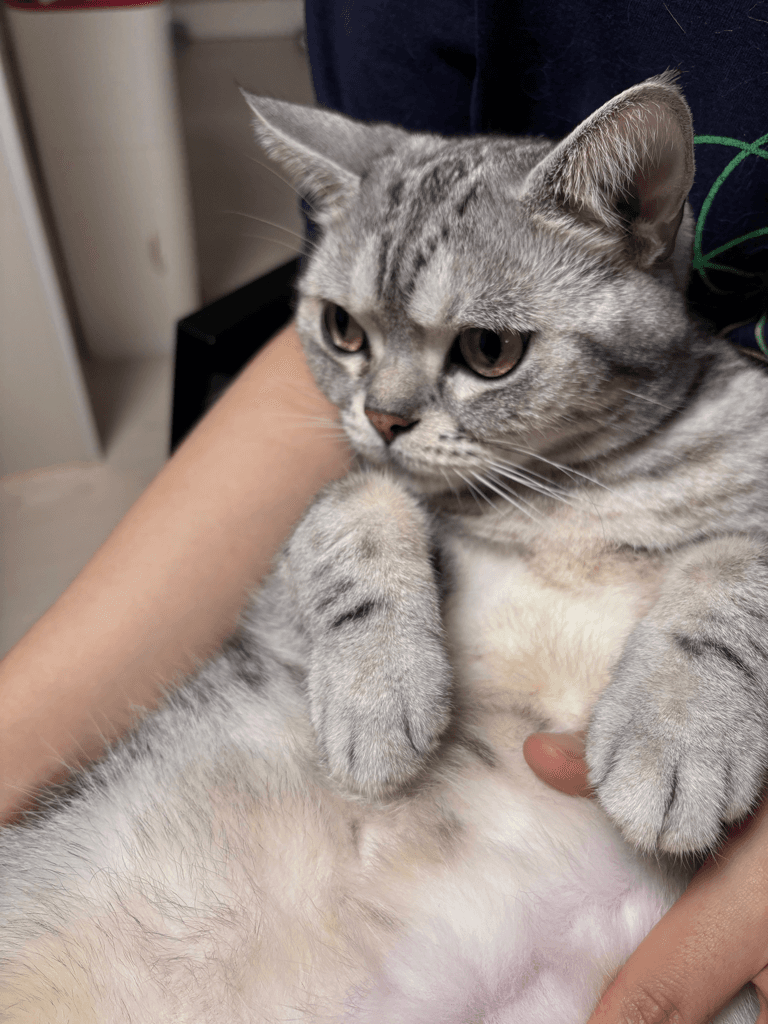3번 째 사진