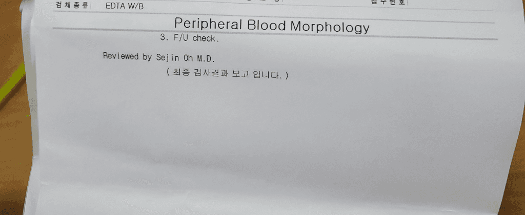 5번 째 사진