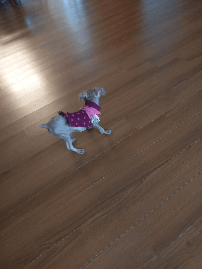 1번 째 사진