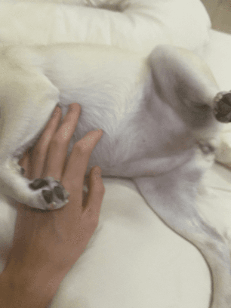 6번 째 사진
