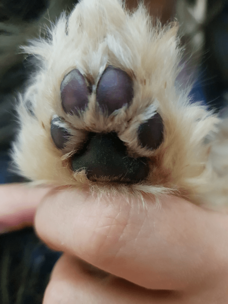 2번 째 사진