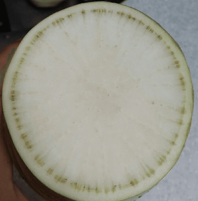 2번 째 사진