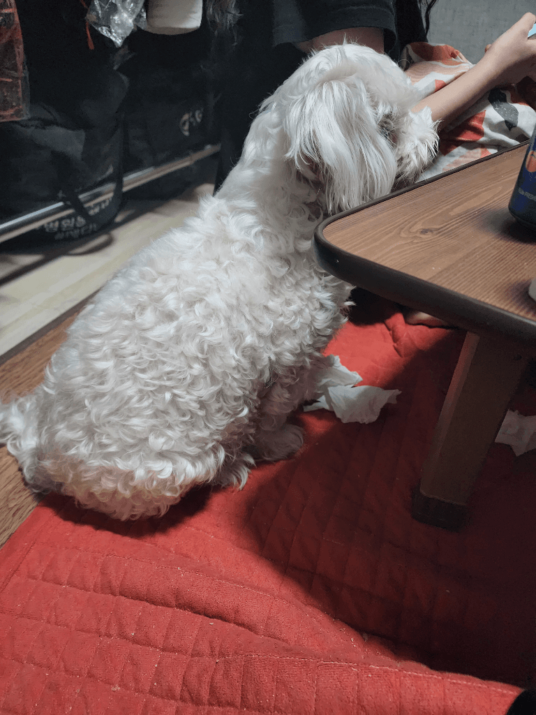 1번 째 사진