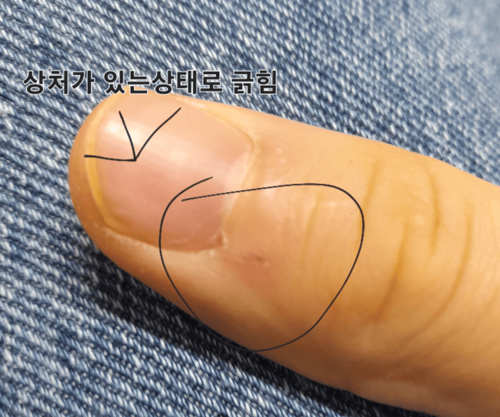 2번 째 사진