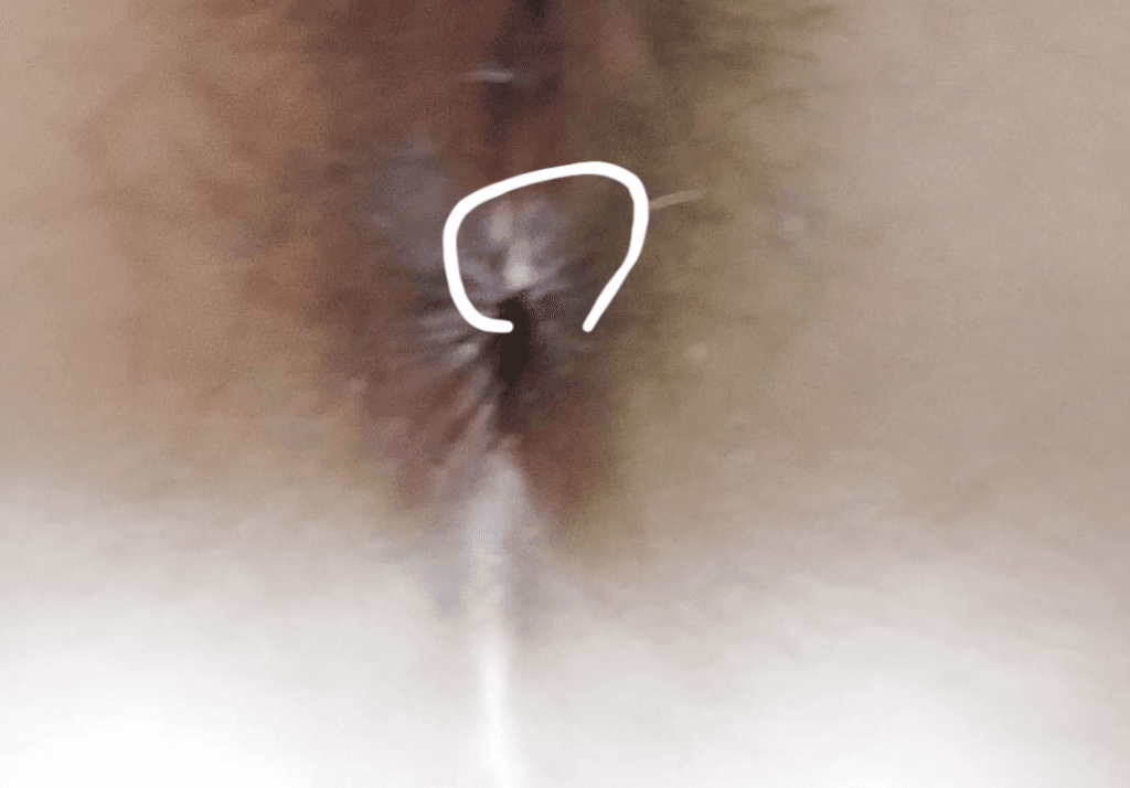 6번 째 사진