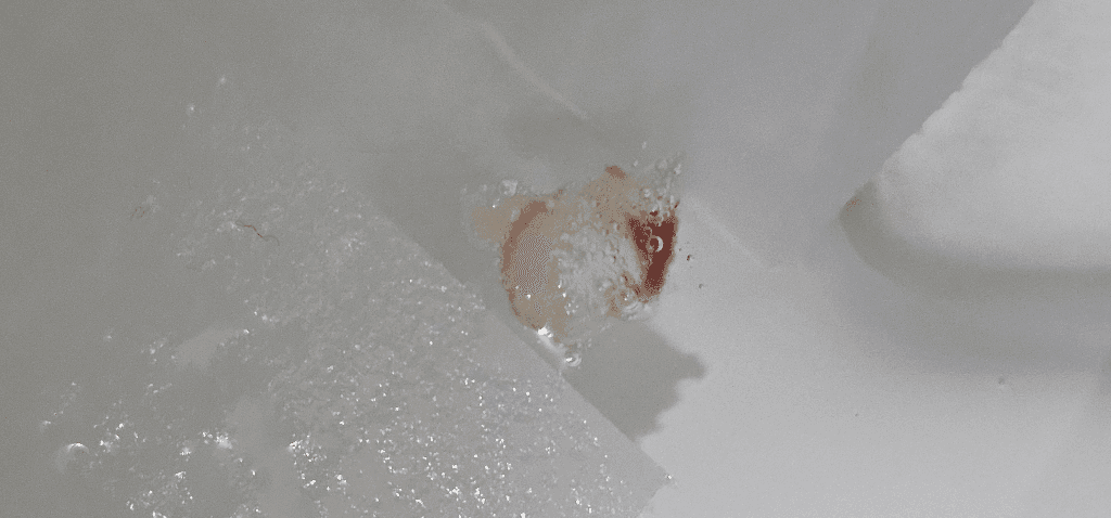 2번 째 사진