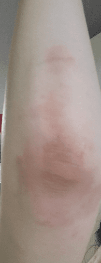 6번 째 사진