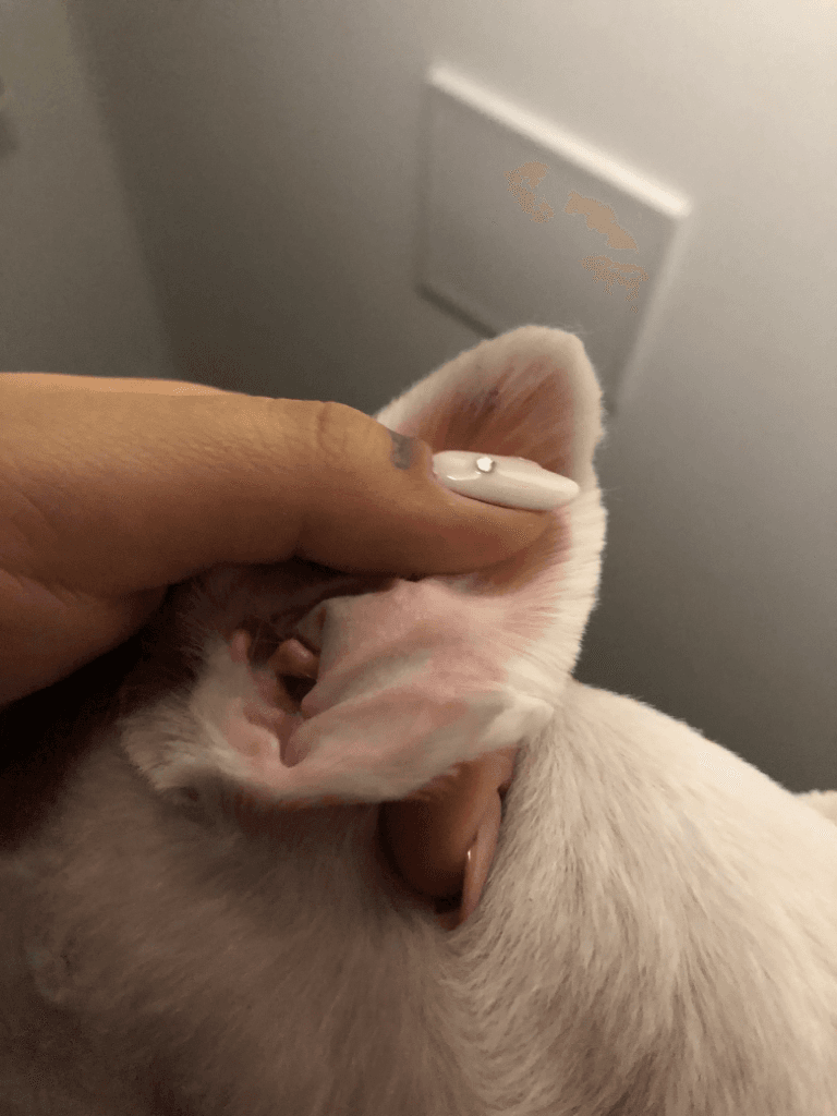2번 째 사진