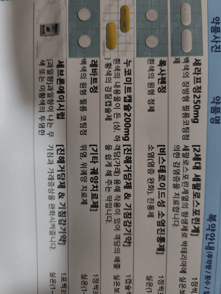 1번 째 사진