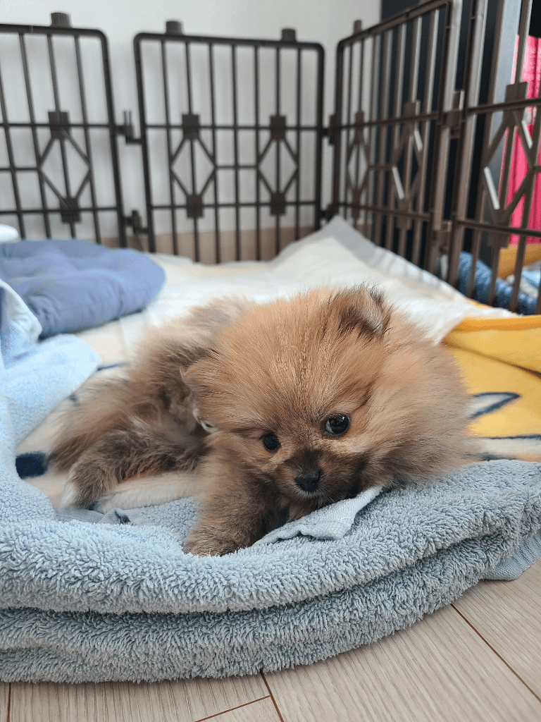 1번 째 사진