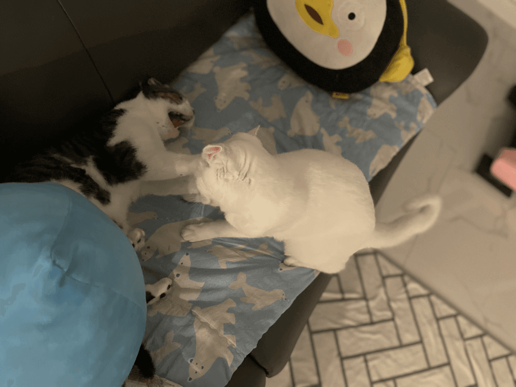 1번 째 사진