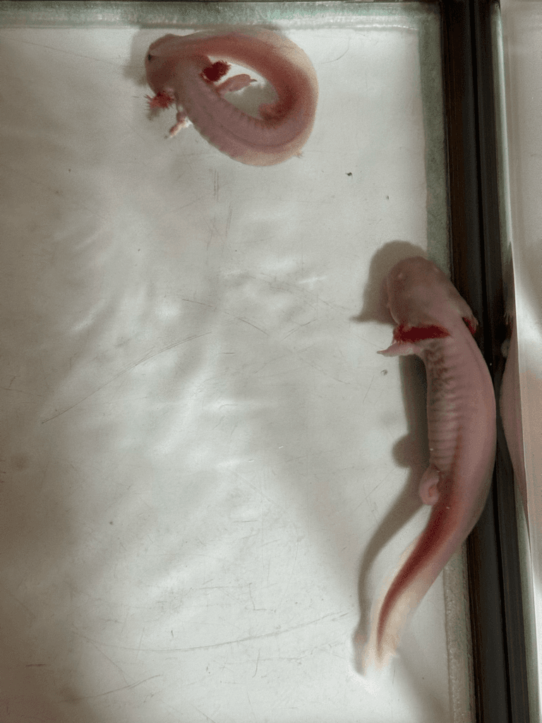 4번 째 사진