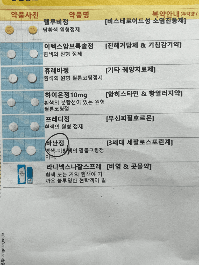 1번 째 사진
