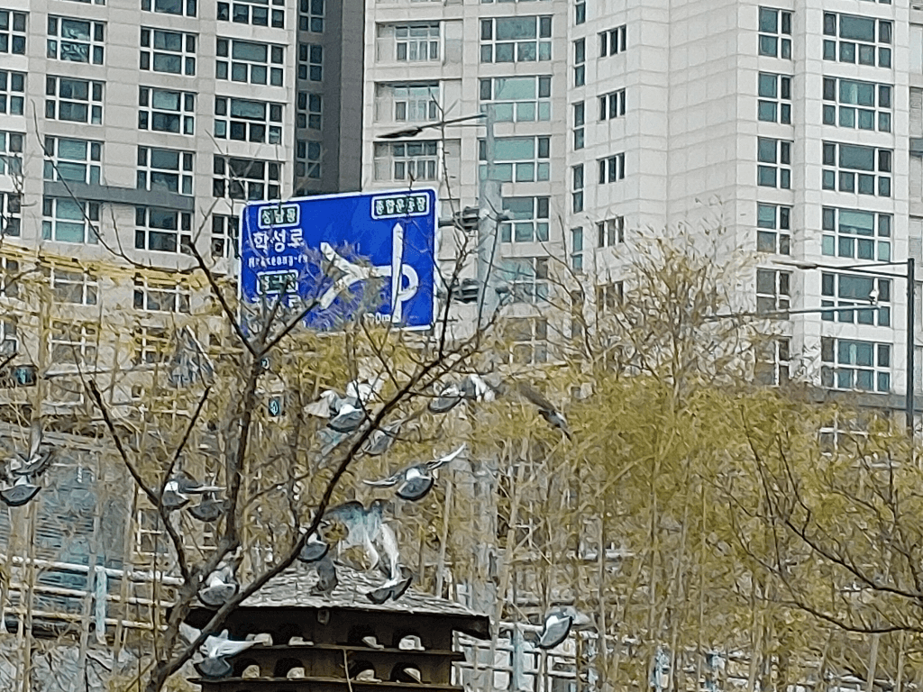 6번 째 사진