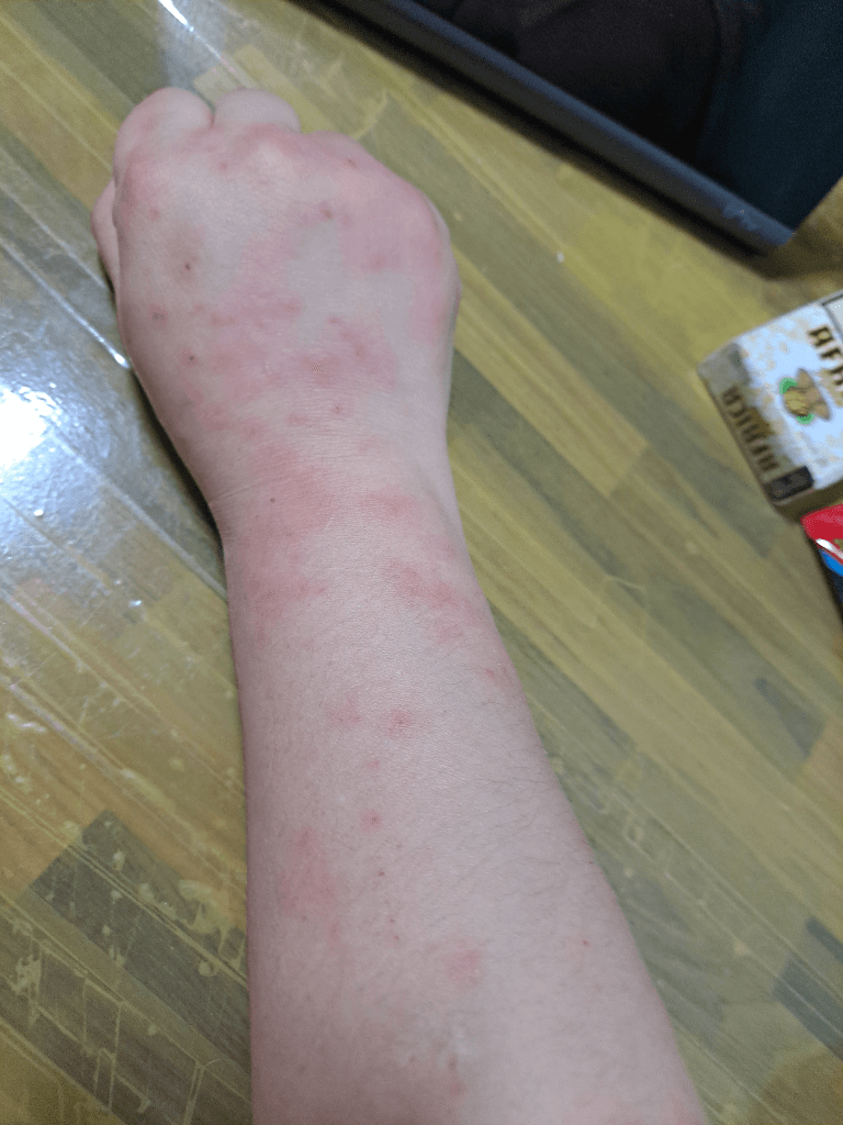 4번 째 사진