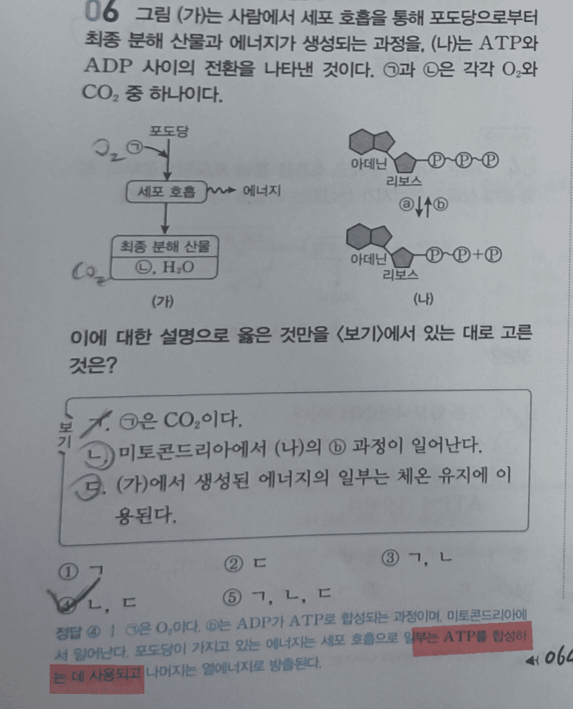 2번 째 사진