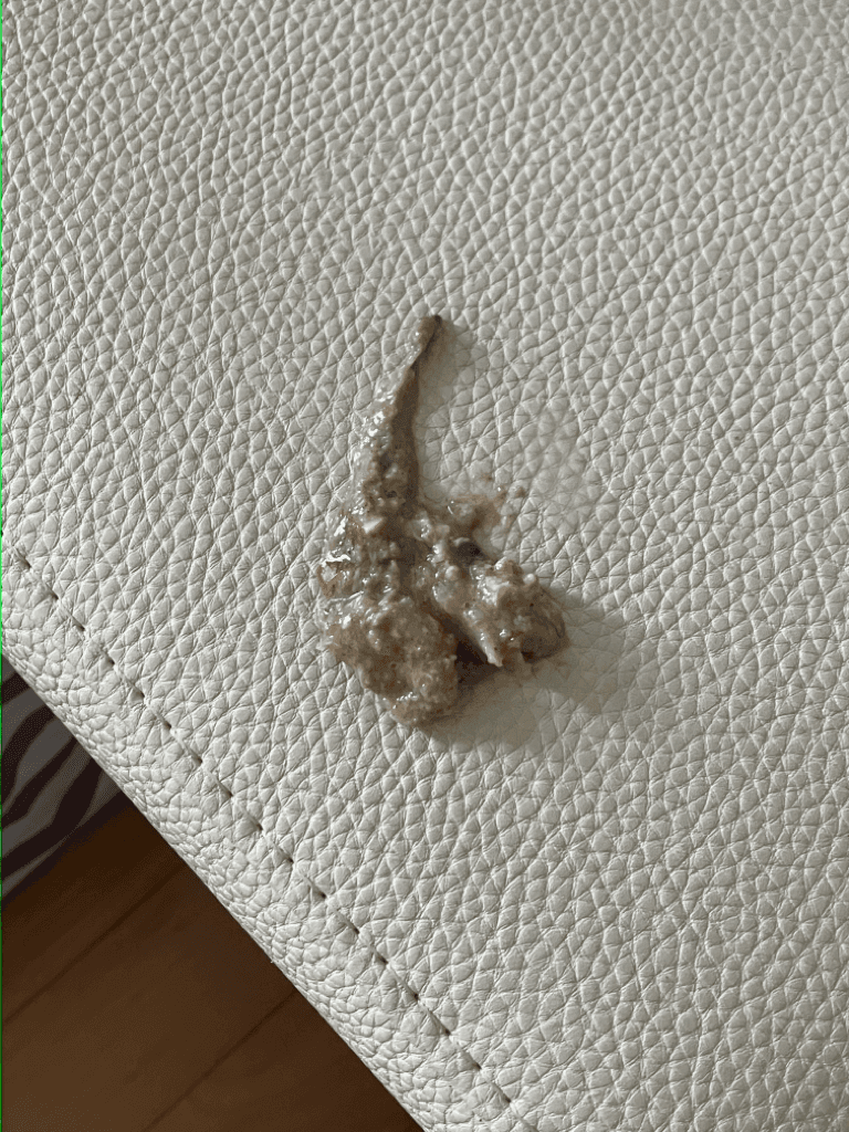 2번 째 사진