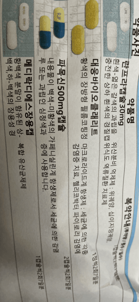 1번 째 사진