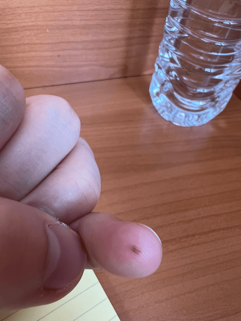 2번 째 사진