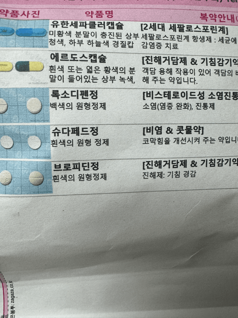 1번 째 사진