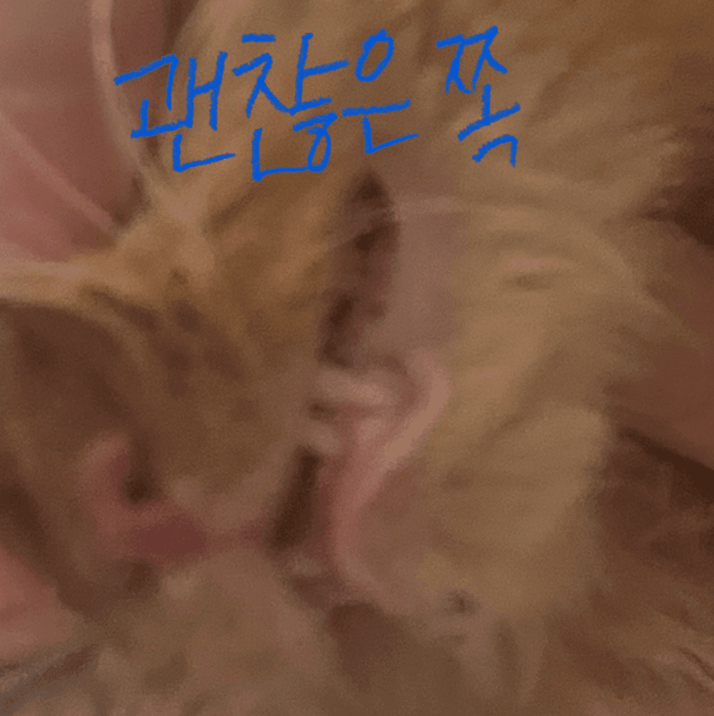 2번 째 사진