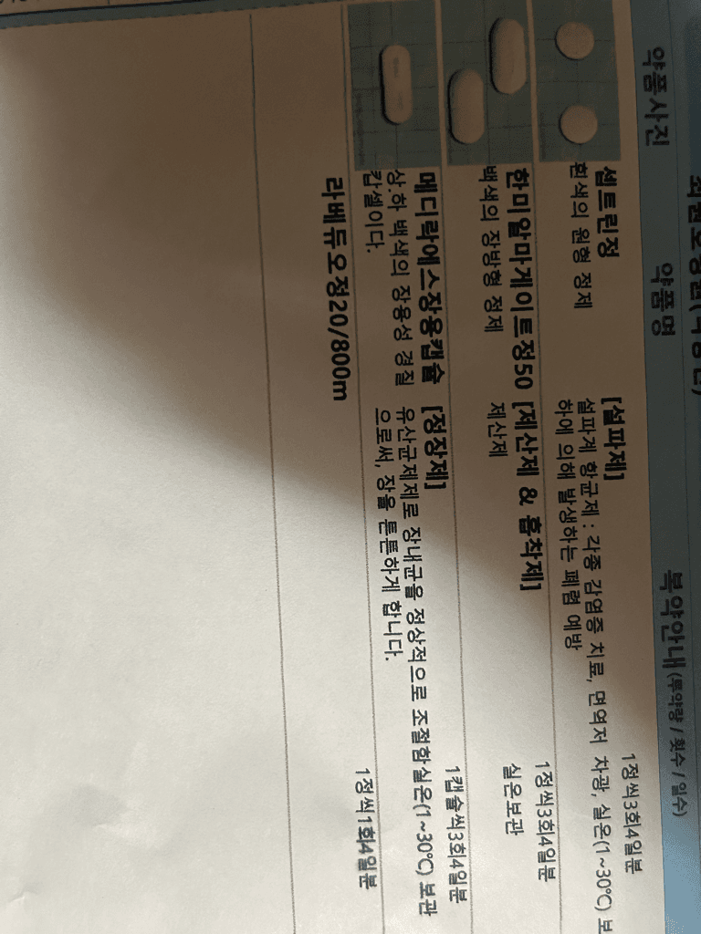 1번 째 사진
