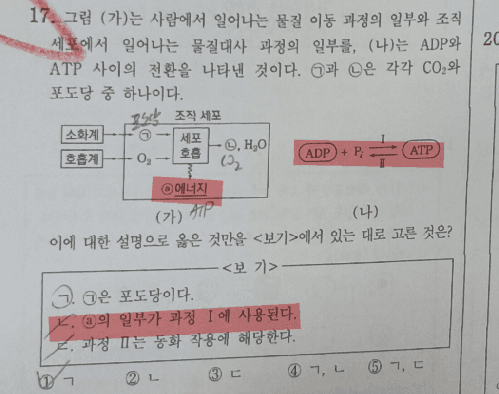 3번 째 사진