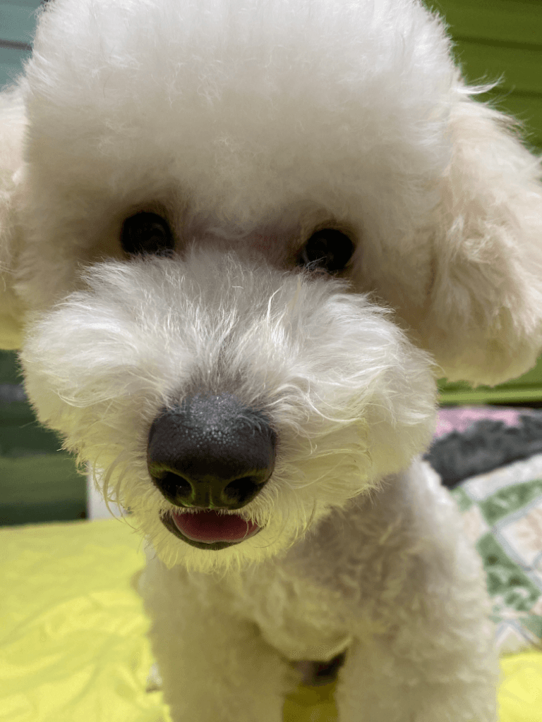 2번 째 사진