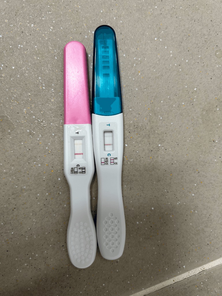2번 째 사진