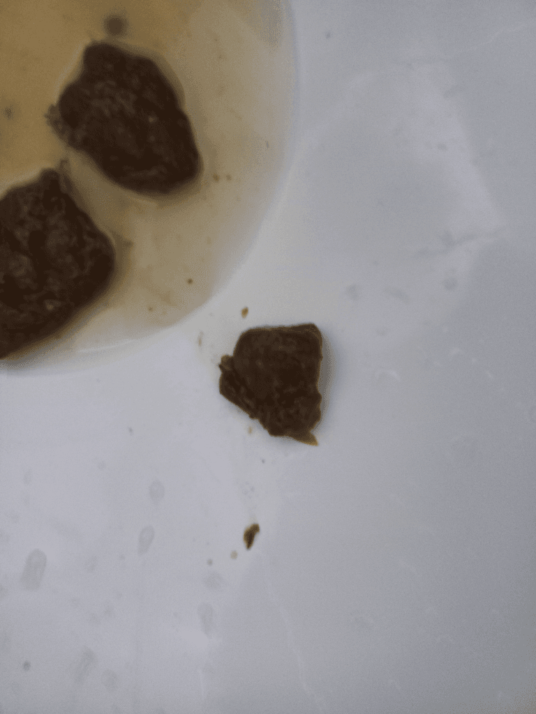 2번 째 사진