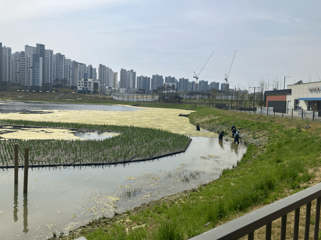 1번 째 사진