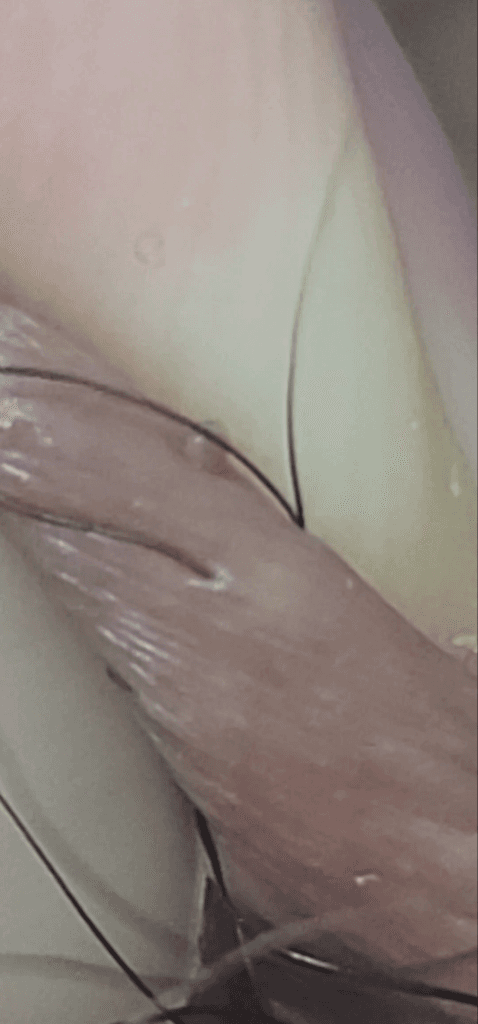 5번 째 사진