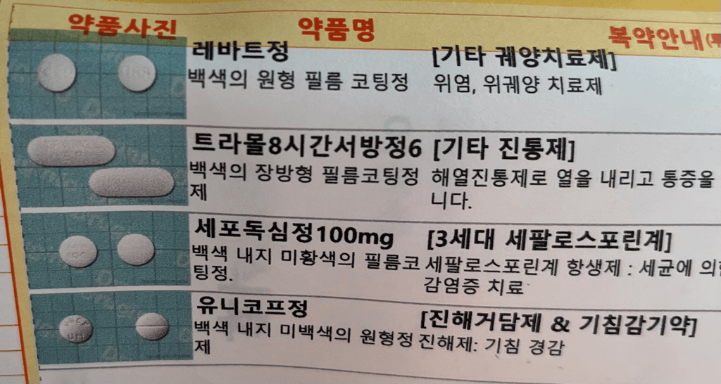 1번 째 사진