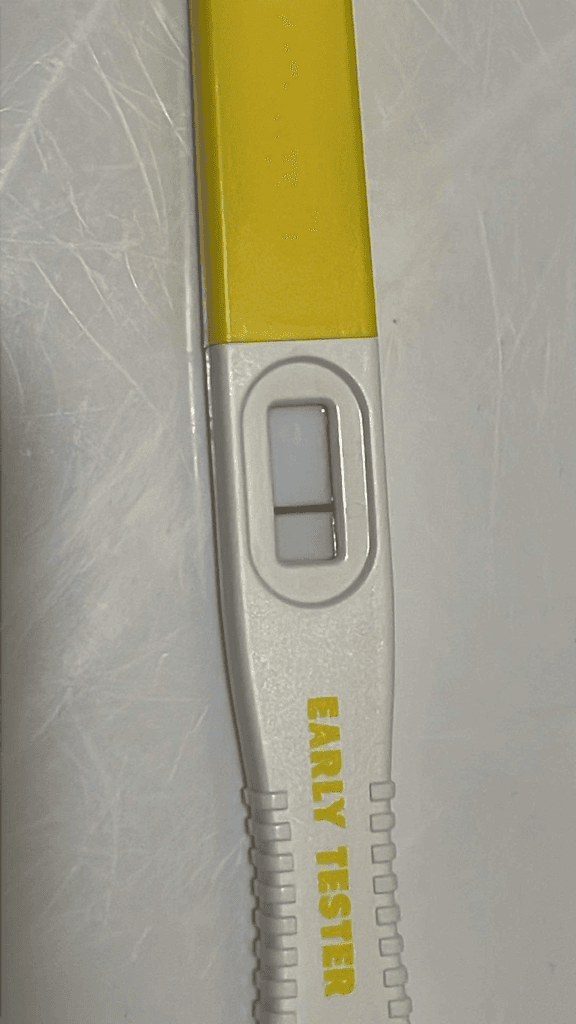 2번 째 사진