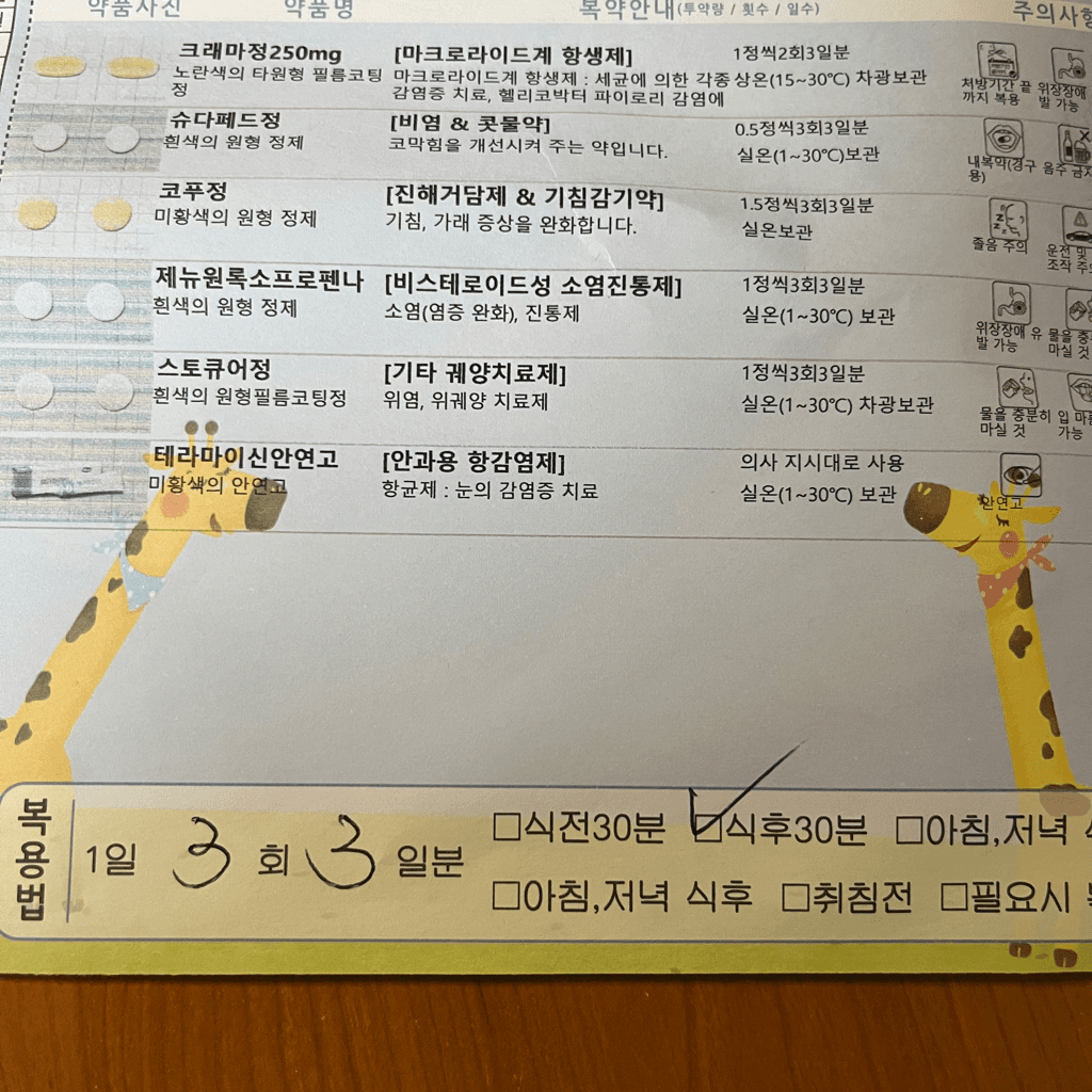 1번 째 사진