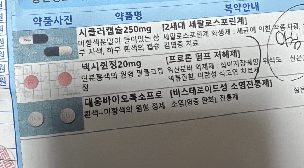 1번 째 사진
