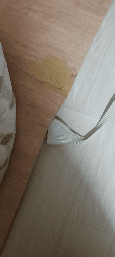 2번 째 사진