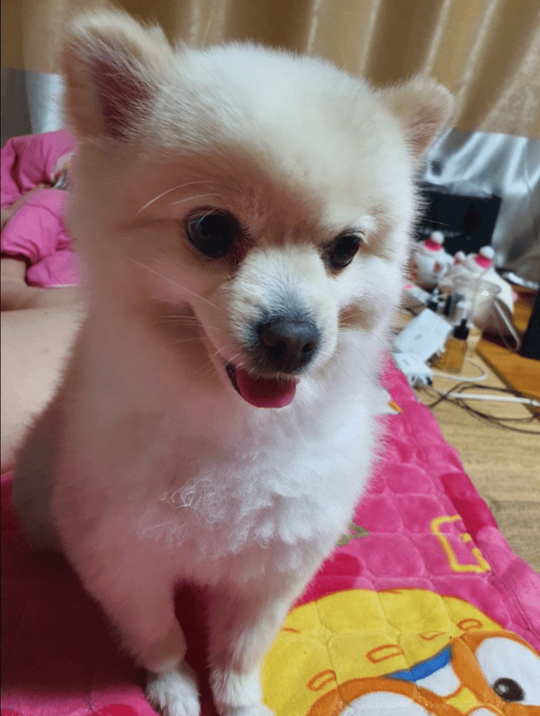 1번 째 사진