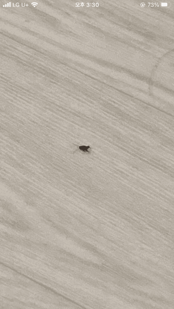 2번 째 사진