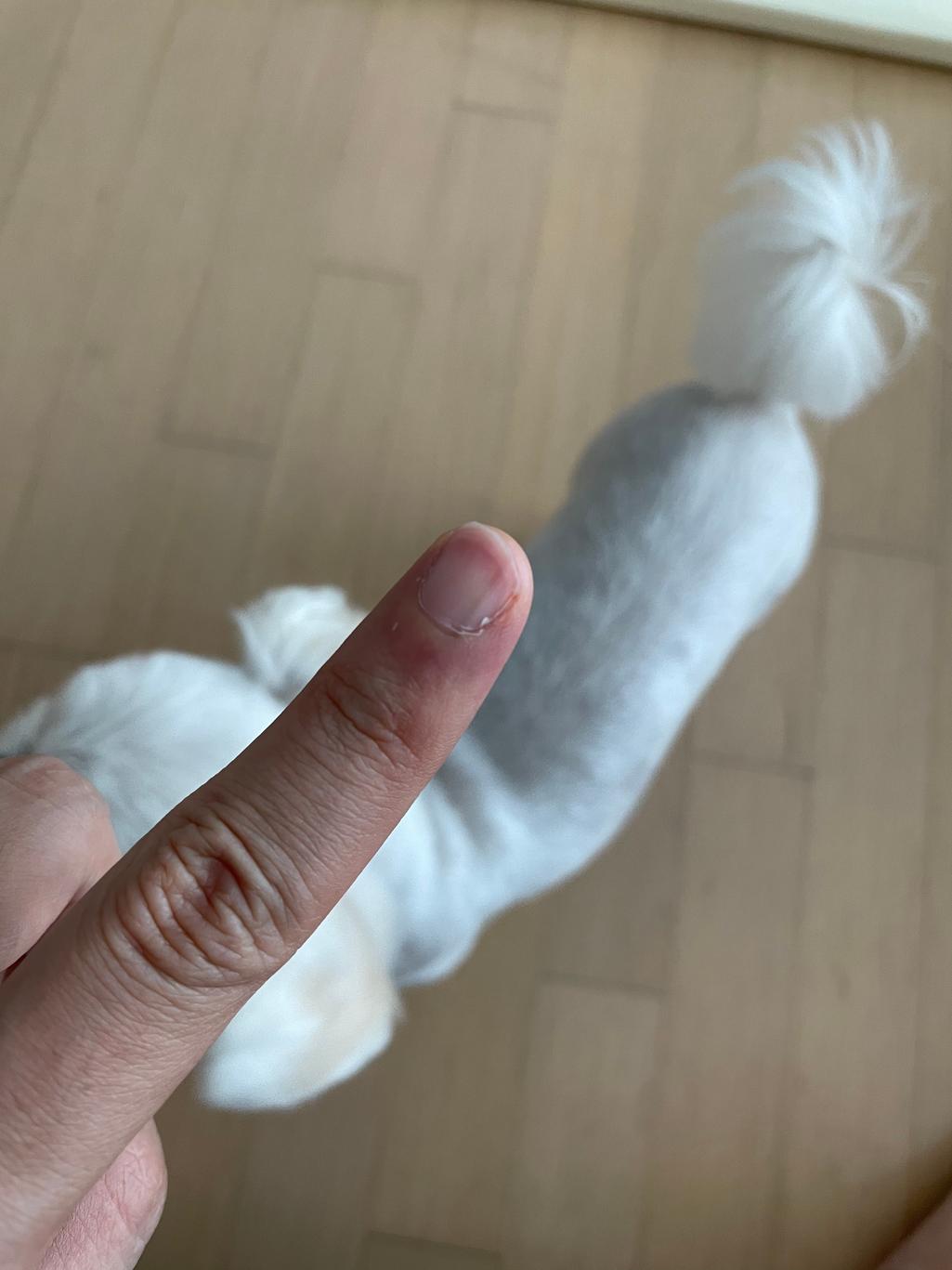 1번 째 사진