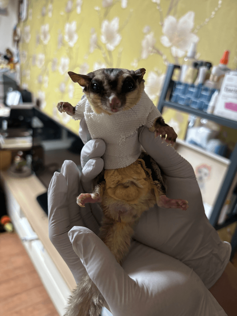 2번 째 사진