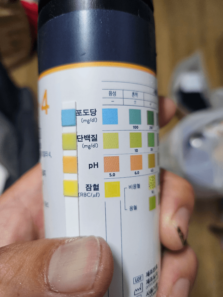 1번 째 사진