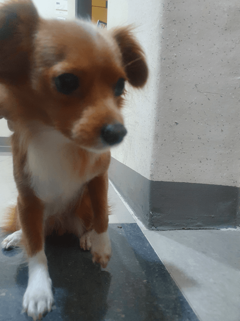 1번 째 사진