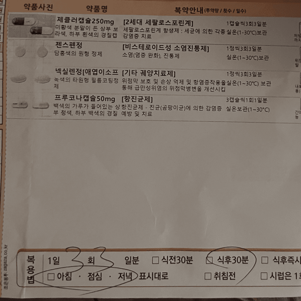 1번 째 사진